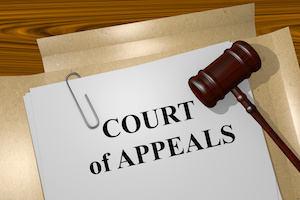 Render illustration of Court of Appeals title on Legal Documents