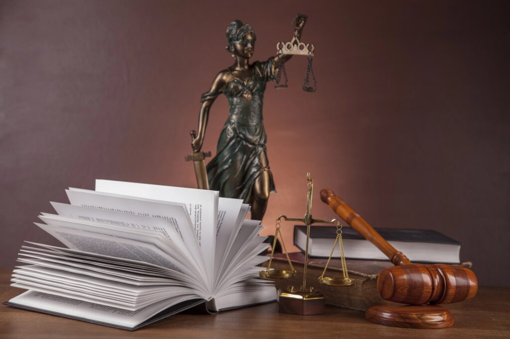 fathers' rights attorney